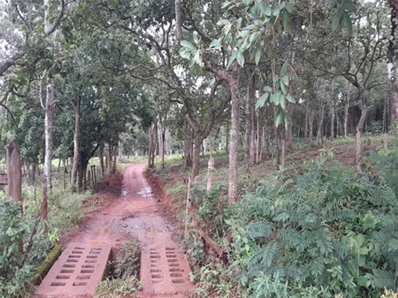 Foto 9 de 14: Terreno em leilão em Formiga - MG — Gleba de Terras - Formiga - MG