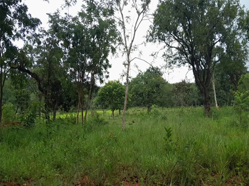Foto 10 de 14: Terreno em leilão em Formiga - MG — Gleba de Terras - Formiga - MG