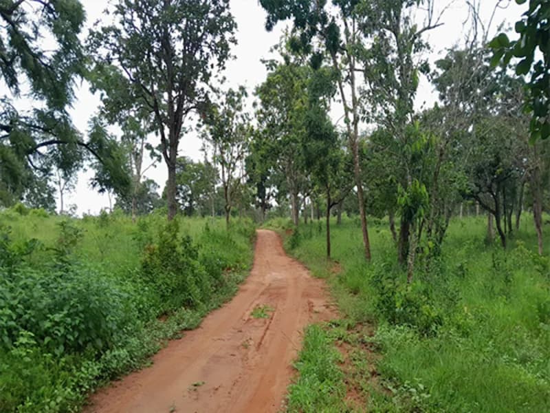 Foto 2 de 14: Terreno em leilão em Formiga - MG — Gleba de Terras - Formiga - MG