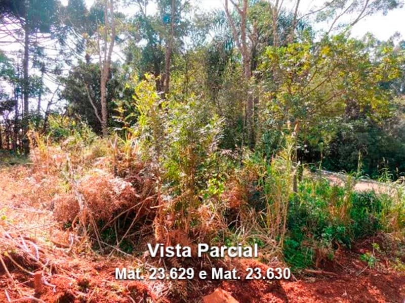 Foto 4 de 6: Terreno em leilão em Dois Lajeados - RS — Terreno - Dois Lajeados - RS
