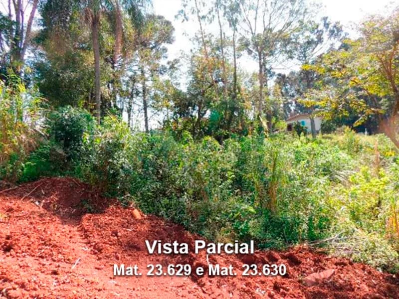 Foto 4 de 6: Terreno em leilão em Dois Lajeados - RS — Terreno - Dois Lajeados - RS