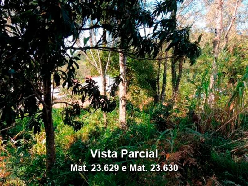 Foto 2 de 6: Terreno em leilão em Dois Lajeados - RS — Terreno - Dois Lajeados - RS