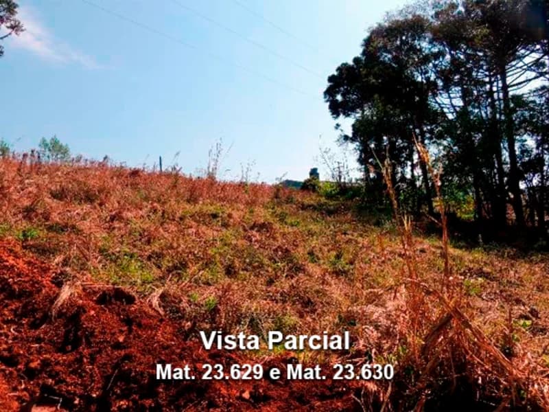 Foto 3 de 6: Terreno em leilão em Dois Lajeados - RS — Terreno - Dois Lajeados - RS