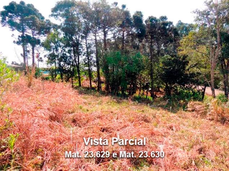 Foto 5 de 6: Terreno em leilão em Dois Lajeados - RS — Terreno - Dois Lajeados - RS