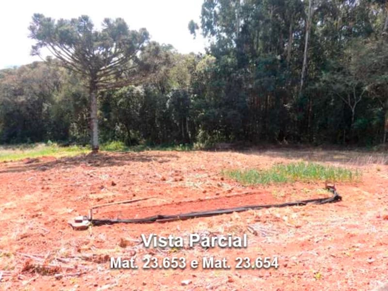 Foto 2 de 6: Terreno em leilão em Dois Lajeados - RS — Terreno - Dois Lajeados - RS