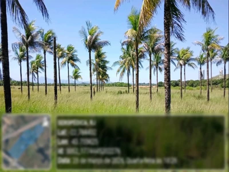 Foto 8 de 12: Terreno em leilão em Seropédica - RJ — Terreno - Seropédica - RJ