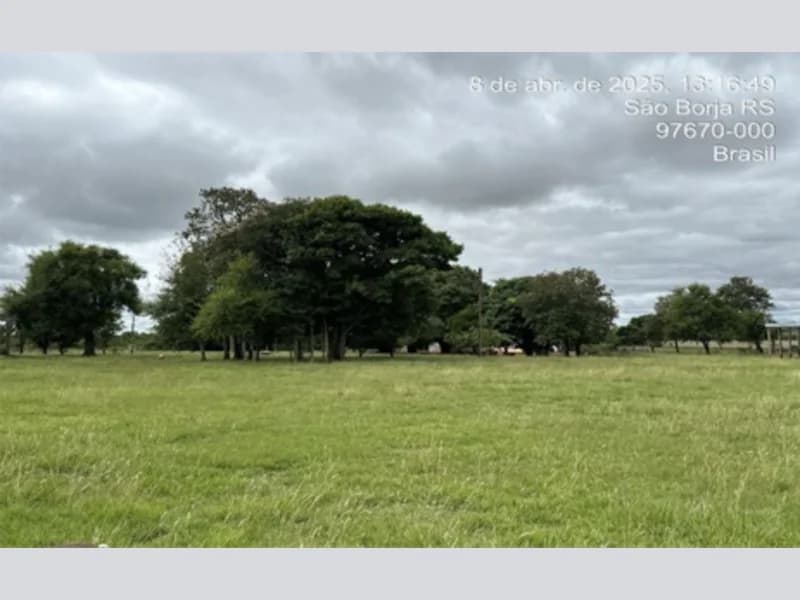 Foto 17 de 20: Terreno em leilão em São Borja - RS — Terreno - São Borja - RS