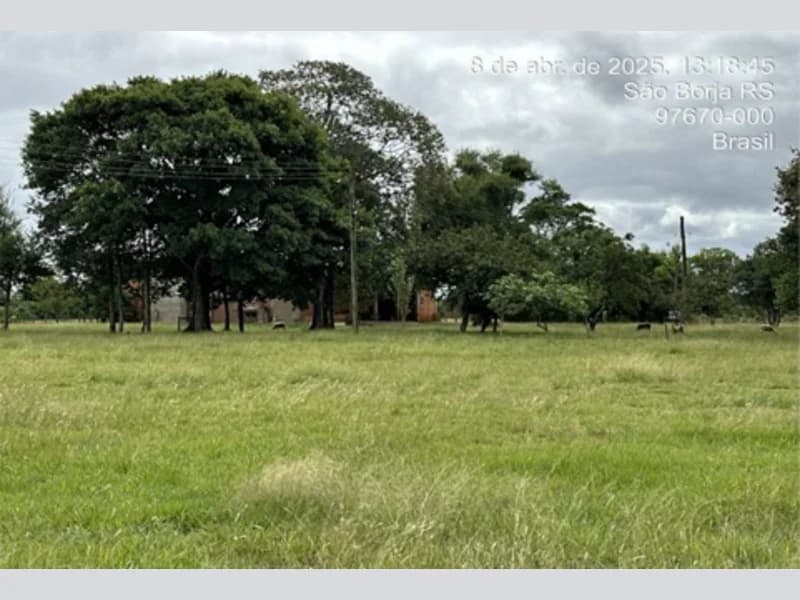 Foto 19 de 20: Terreno em leilão em São Borja - RS — Terreno - São Borja - RS