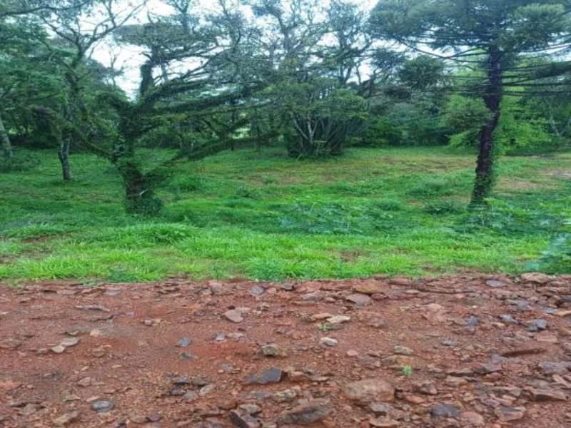 Foto 3 de 4: Terreno em leilão em Frederico Westphalen - RS, bairro São Cristóvão — Terreno - Frederico Westphalen - RS