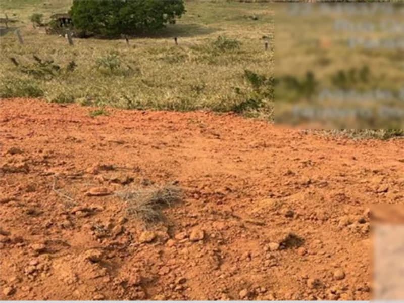 Foto 6 de 6: Terreno em leilão em Paraisópolis - MG — Terreno - Paraisópolis - MG