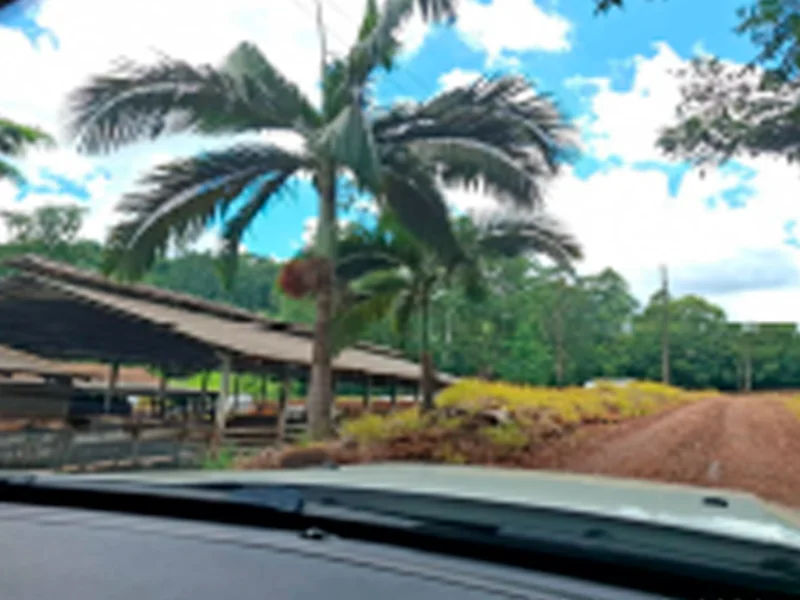 Foto 3 de 5: Terreno em leilão em Saudades - SC — Terreno Saudades SC