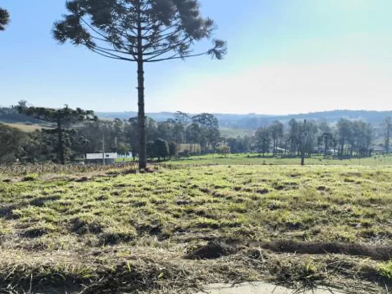 Foto 2 de 8: Terreno em leilão em Frederico Westphalen - RS, bairro São Cristóvão — Terreno - Frederico Westphalen - RS