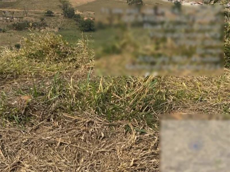 Foto 4 de 5: Terreno em leilão em Paraisópolis - MG — Terreno - Paraisópolis - MG