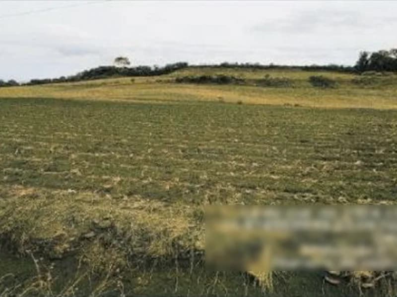 Foto 5 de 8: Terreno em leilão em Saudades - SC — Terreno - Saudades - SC