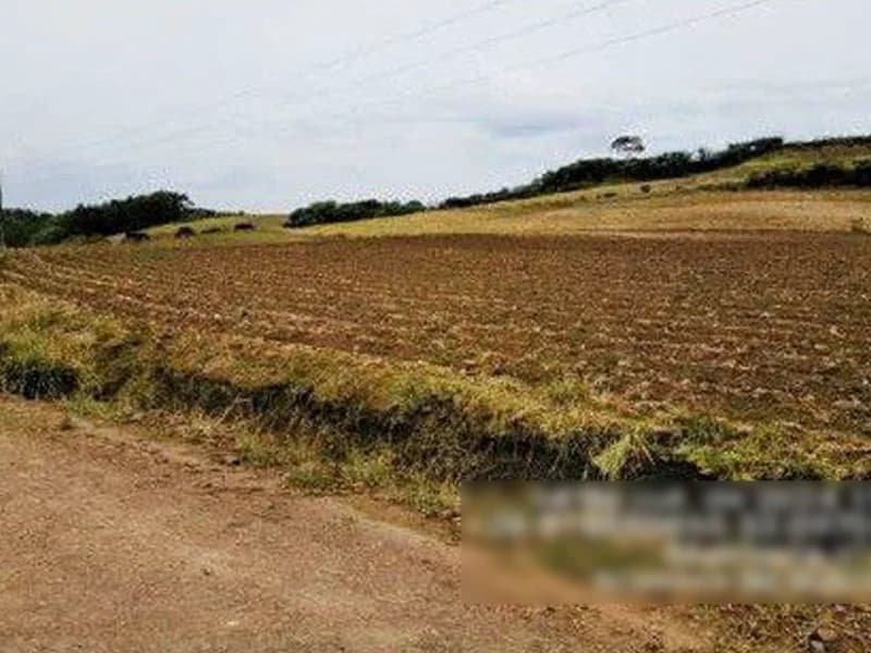 Foto 3 de 8: Terreno em leilão em Saudades - SC — Terreno - Saudades - SC