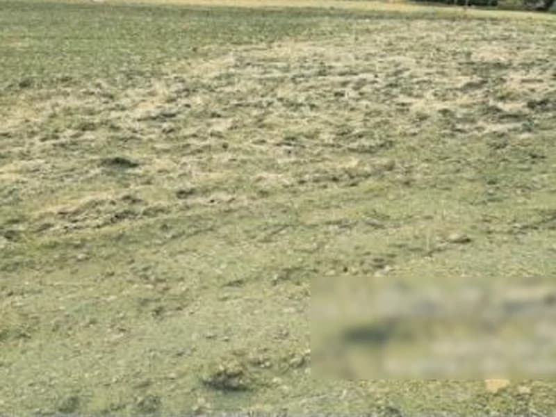 Foto 2 de 8: Terreno em leilão em Saudades - SC — Terreno - Saudades - SC
