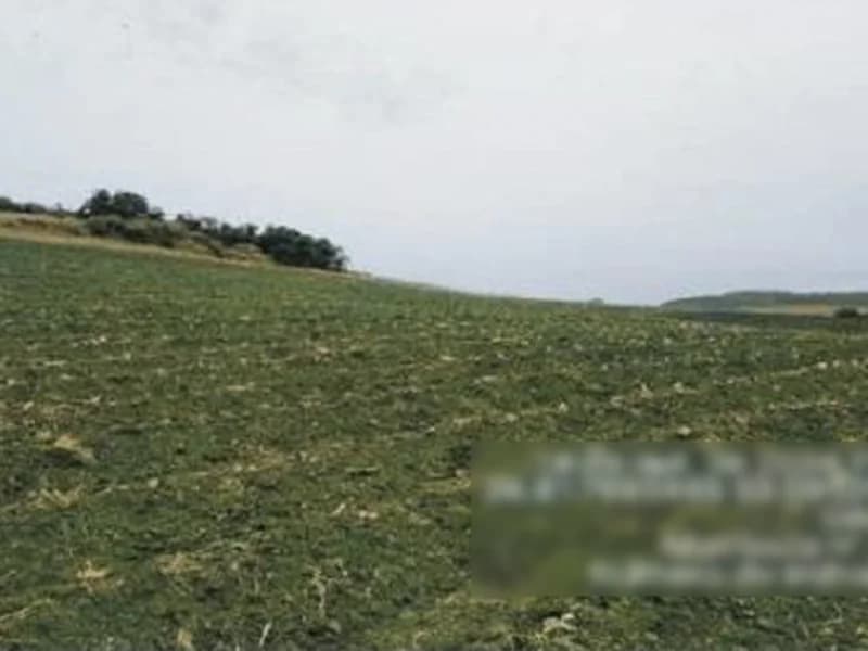 Foto 4 de 8: Terreno em leilão em Saudades - SC — Terreno - Saudades - SC