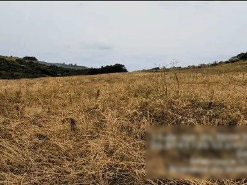Foto 6 de 8: Terreno em leilão em Saudades - SC — Terreno - Saudades - SC