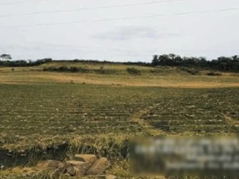 Foto 7 de 8: Terreno em leilão em Saudades - SC — Terreno - Saudades - SC