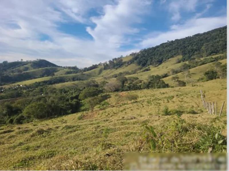 Foto 4 de 7: Terreno em leilão em Estiva - MG — Terreno - Estiva - MG