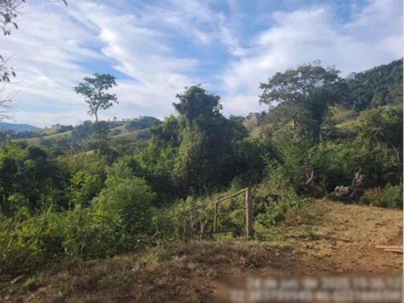 Foto 5 de 7: Terreno em leilão em Estiva - MG — Terreno - Estiva - MG