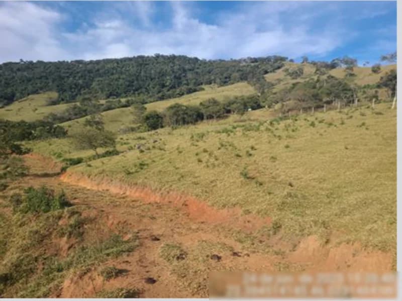 Foto 3 de 7: Terreno em leilão em Estiva - MG — Terreno - Estiva - MG