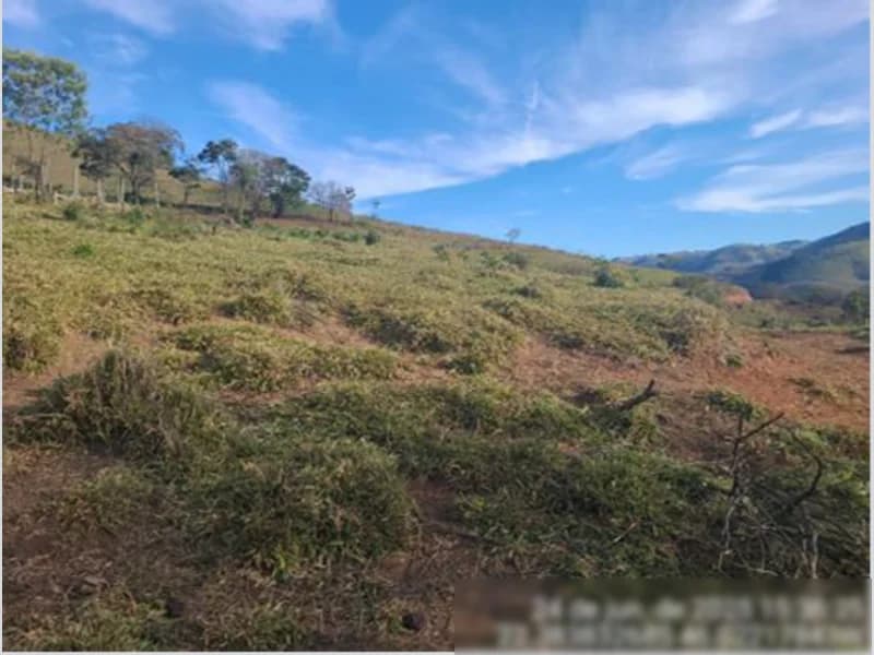 Foto 6 de 7: Terreno em leilão em Estiva - MG — Terreno - Estiva - MG