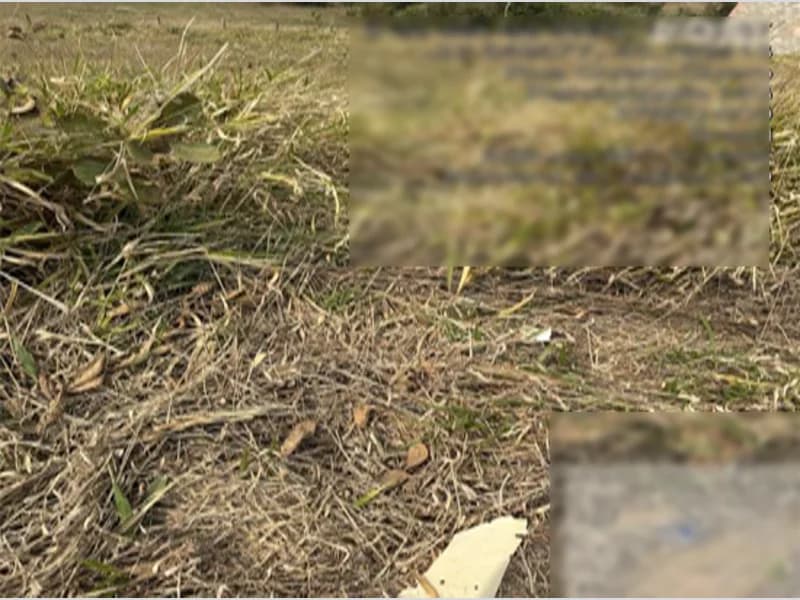 Foto 4 de 9: Terreno em leilão em Paraisópolis - MG — Terreno - Paraisópolis - MG