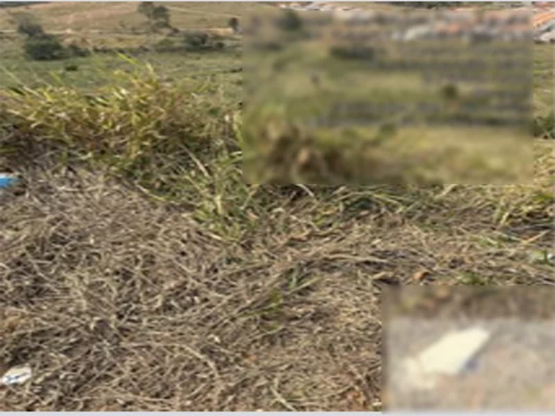 Foto 1 de 9: Terreno em leilão em Paraisópolis - MG — Terreno - Paraisópolis - MG