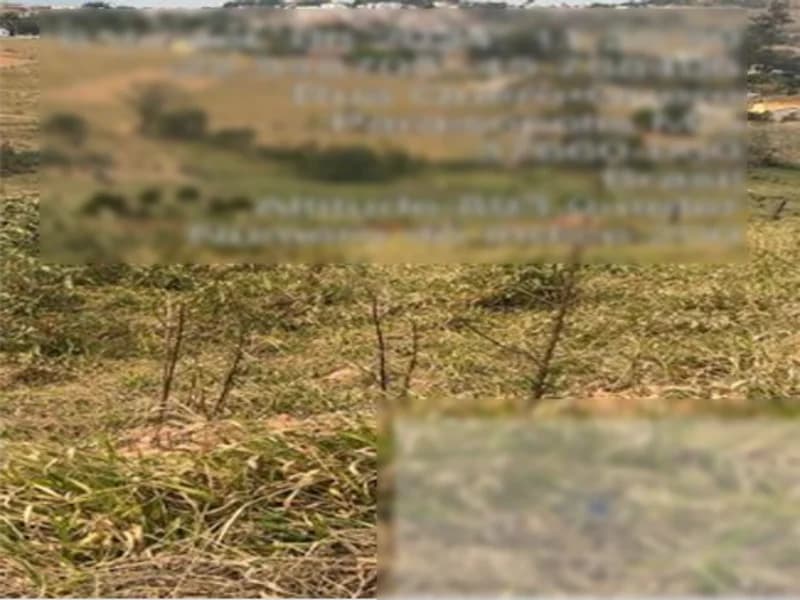 Foto 3 de 6: Terreno em leilão em Paraisópolis - MG — Terreno - Paraisópolis - MG