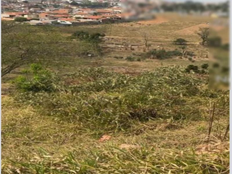 Foto 4 de 6: Terreno em leilão em Paraisópolis - MG — Terreno - Paraisópolis - MG