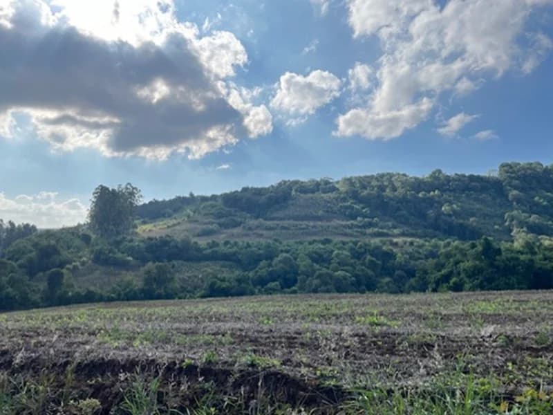 Foto 8 de 13: Terreno em leilão em Braga - RS — Fração de Terras - Braga - RS