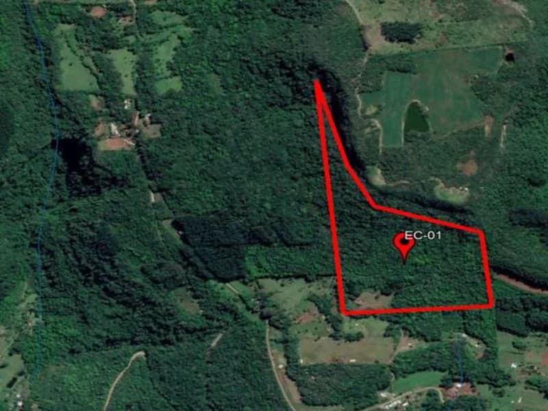 Foto 5 de 6: Terreno em leilão em Carlos Barbosa - RS — Terreno Carlos Barbosa RS
