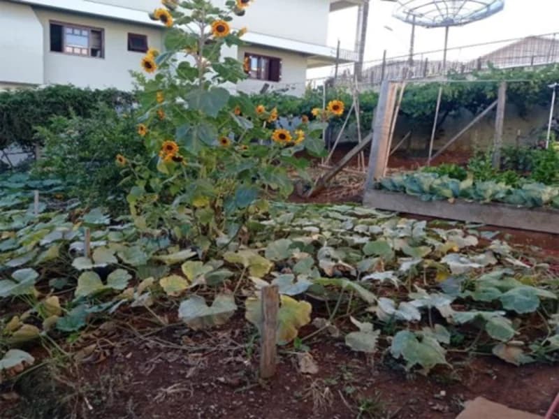 Foto 7 de 12: Terreno em leilão em Carlos Barbosa - RS, bairro Vila Nova — Terreno - Carlos Barbosa - RS