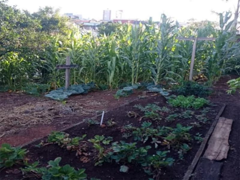 Foto 11 de 12: Terreno em leilão em Carlos Barbosa - RS, bairro Vila Nova — Terreno - Carlos Barbosa - RS