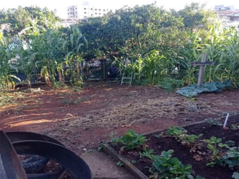 Foto 9 de 12: Terreno em leilão em Carlos Barbosa - RS, bairro Vila Nova — Terreno - Carlos Barbosa - RS
