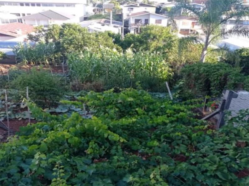 Foto 10 de 12: Terreno em leilão em Carlos Barbosa - RS, bairro Vila Nova — Terreno - Carlos Barbosa - RS