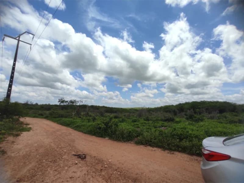 Foto 14 de 50: Terreno em leilão em São Luís Do Curu - CE — Terreno - São Luis do Curu - CE
