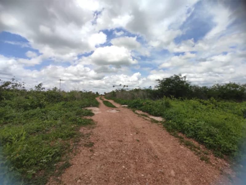Foto 16 de 50: Terreno em leilão em São Luís Do Curu - CE — Terreno - São Luis do Curu - CE