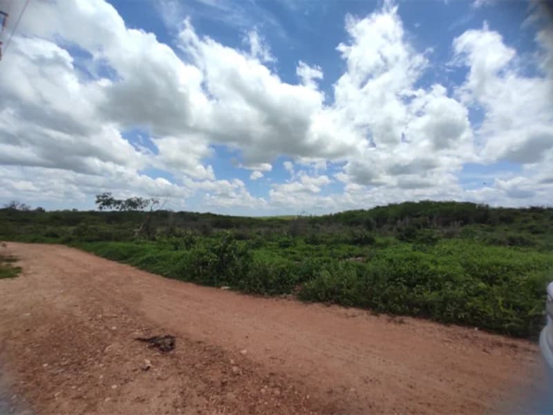 Foto 40 de 50: Terreno em leilão em São Luís Do Curu - CE — Terreno - São Luis do Curu - CE