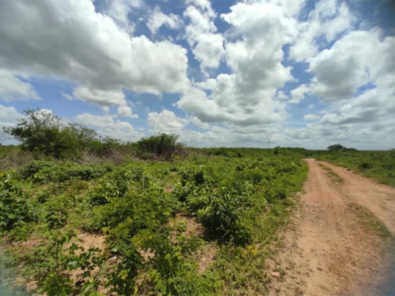 Foto 41 de 50: Terreno em leilão em São Luís Do Curu - CE — Terreno - São Luis do Curu - CE