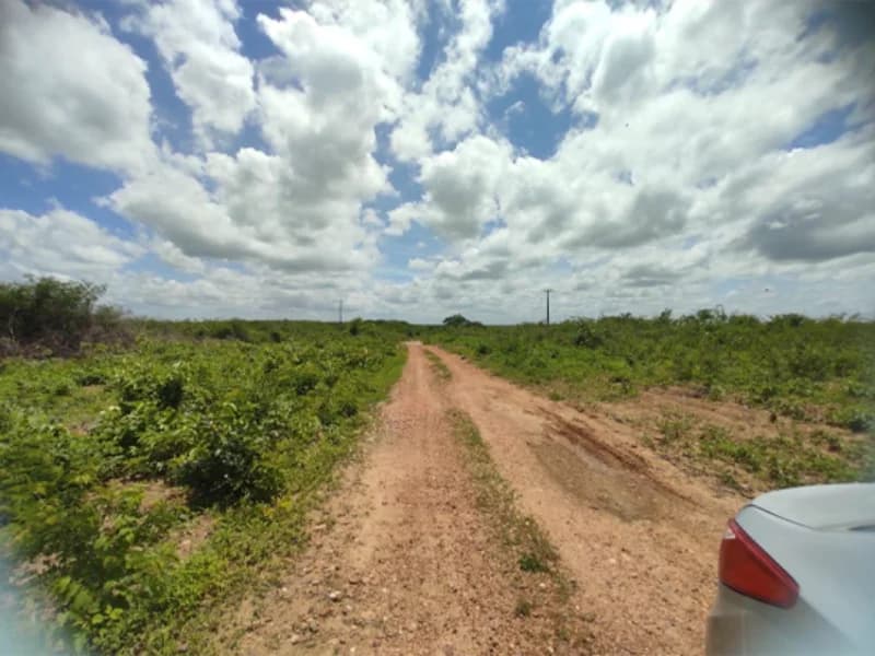 Foto 45 de 50: Terreno em leilão em São Luís Do Curu - CE — Terreno - São Luis do Curu - CE