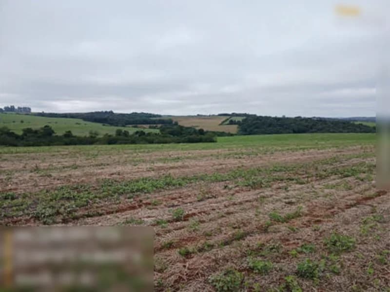 Foto 2 de 13: Terreno em leilão em São Miguel Das Missões - RS — Terreno São Miguel Das Missões RS