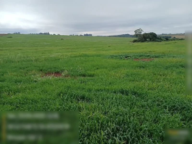 Foto 1 de 13: Terreno em leilão em São Miguel Das Missões - RS — Terreno São Miguel Das Missões RS