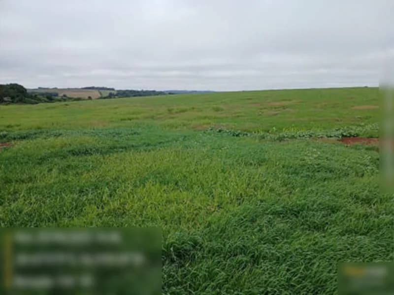 Foto 3 de 13: Terreno em leilão em São Miguel Das Missões - RS — Terreno São Miguel Das Missões RS