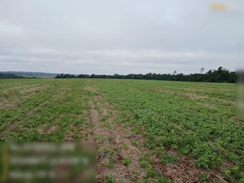 Foto 4 de 13: Terreno em leilão em São Miguel Das Missões - RS — Terreno São Miguel Das Missões RS