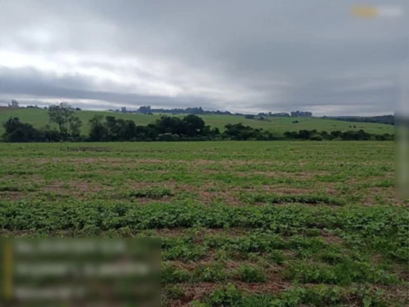 Foto 8 de 13: Terreno em leilão em São Miguel Das Missões - RS — Terreno São Miguel Das Missões RS