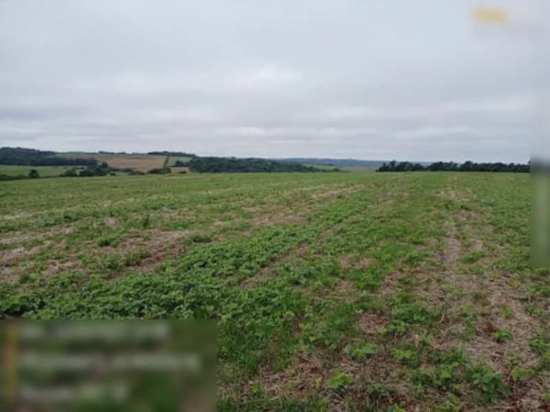 Foto 5 de 13: Terreno em leilão em São Miguel Das Missões - RS — Terreno São Miguel Das Missões RS