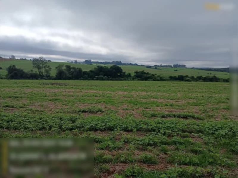 Foto 10 de 13: Terreno em leilão em São Miguel Das Missões - RS — Terreno São Miguel Das Missões RS
