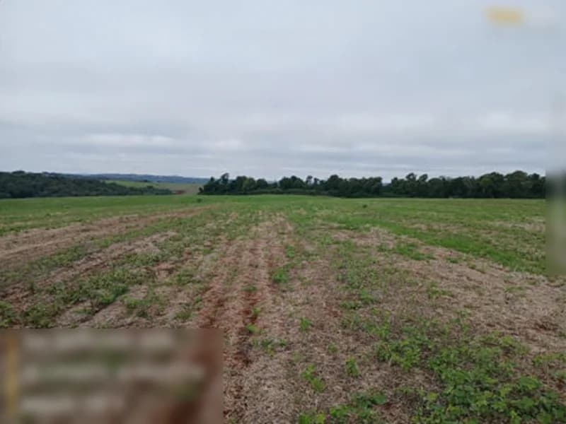 Foto 13 de 13: Terreno em leilão em São Miguel Das Missões - RS — Terreno São Miguel Das Missões RS